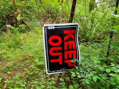 06-06-21 Magness Hike