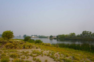DSC07647.jpg