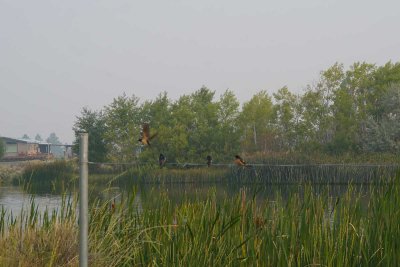DSC07655.jpg