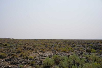 DSC07750.jpg