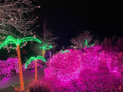 11-27-21 Silverton Christmas Lights