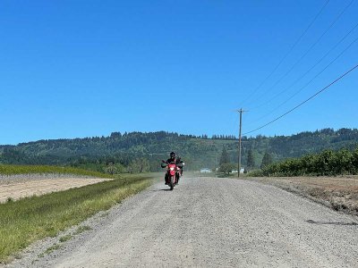 IMG_2494.jpg