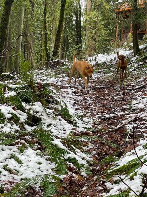 12-30-21 Creek Hike