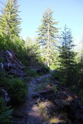 06-25-22 Hidden Falls Hike