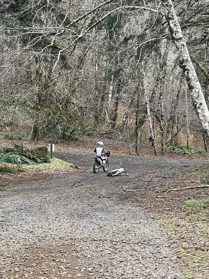 IMG_8583.jpg