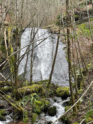 IMG_8624.jpg