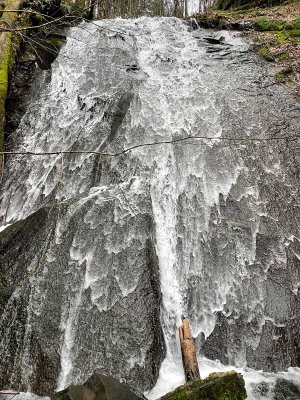 IMG_8628.jpg