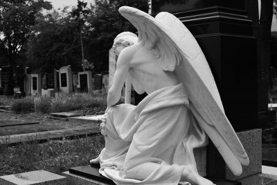 Zentralfriedhof