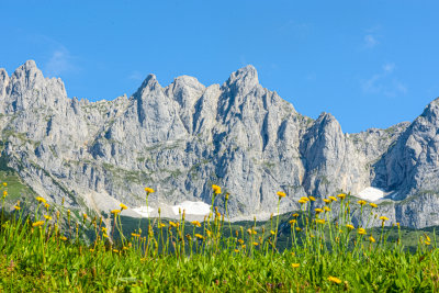 Kaisergebirge, Tirol, Austria