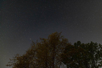 Night Sky Photography
