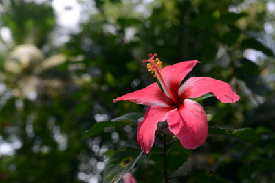 Seychelles Jul17 118.jpg