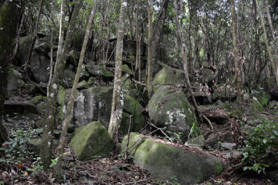 Seychelles Jul17 125.jpg