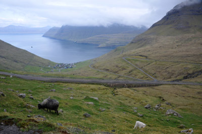 g12/93/329493/3/169579232.wqmqKA1n.jpg