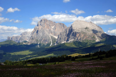 Langkofel and Plattkofel, Seiser Alm