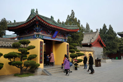 g12/93/329493/3/169944605.45FMRd8a.jpg