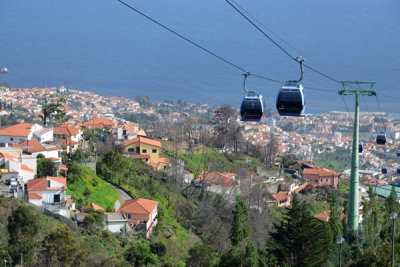 Monte