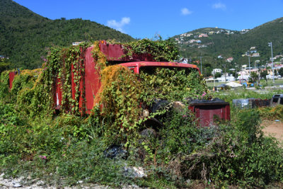 Tortola Nov19 123.jpg