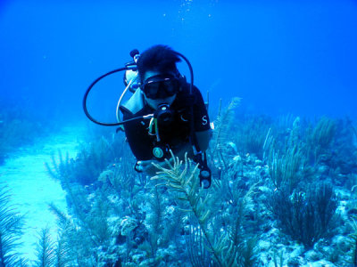 DiveBelize Nov19 0942.jpg