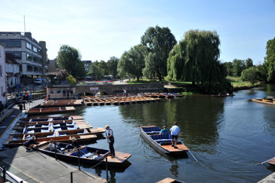 g12/93/329493/3/170688328.NB6Dlgaj.jpg