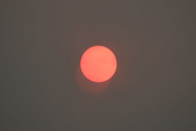 Sun blocked out due to smoke, Fires of December 2019