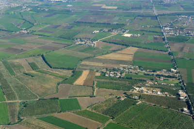 Farmland outside Algiers