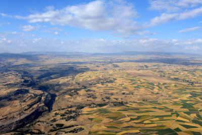 g12/93/329493/3/170773665.KFJGrlK5.jpg