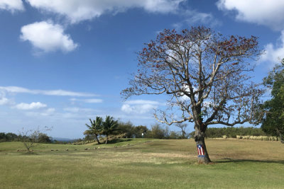 Aguadilla Feb21 091.jpg