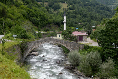 g12/93/329493/3/172836437.IJbS6KvF.jpg