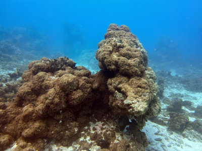 g12/93/329493/3/172856991.GlJvr3Ox.jpg