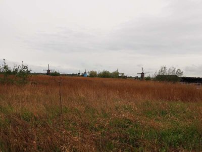 g12/93/463093/3/169438638.vJcIW03R.jpg