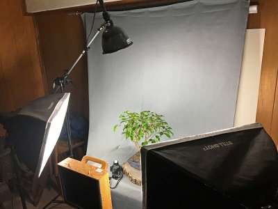 The Setup