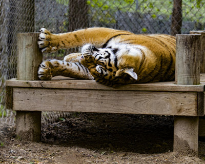 g12/93/579993/3/172181333.1IcJ5A2h.jpg