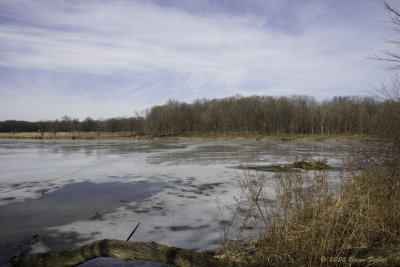 Icy Pond