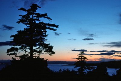 g12/93/684593/3/171385537.xO6veTt7.jpg
