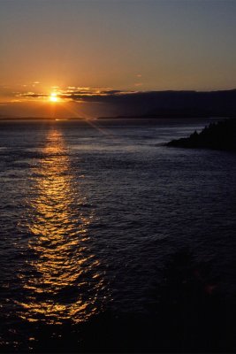 g12/93/684593/3/171385540.pP99Mh2H.jpg