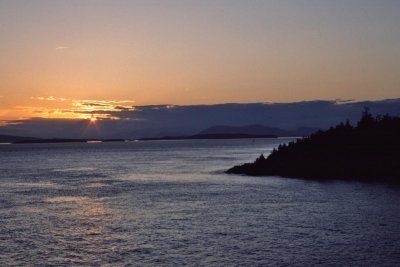 g12/93/684593/3/171385541.X8wtx4ok.jpg