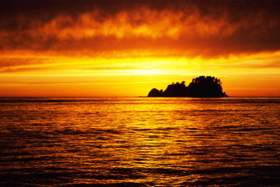 Olympic Coast