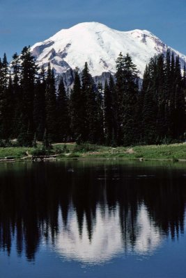 g12/93/684593/3/171448739.Kx4C5Rry.jpg