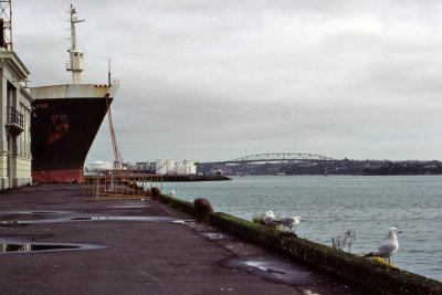 g12/93/684593/3/171711553.F15cWZZq.jpg