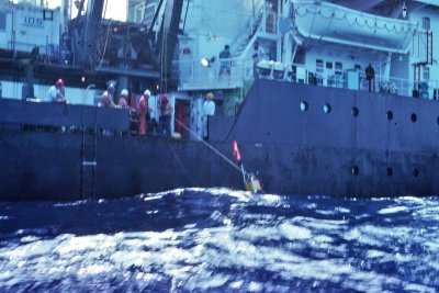 g12/93/684593/3/171716117.UYPh8lpG.jpg