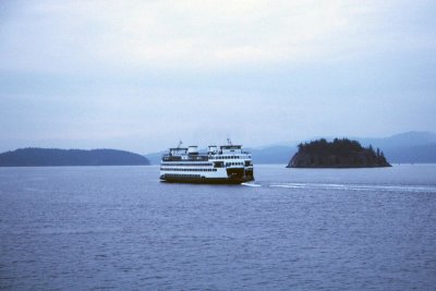 g12/93/684593/3/171773889.dJOMsgYC.jpg