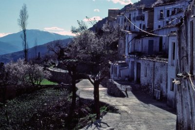 SP217-Alpujarras-1991-Dimage16bit-scan2021_edit.jpg