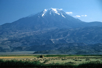 TR157-Mount-Ararat-2003-Dimage16bit-scan2021_edit.jpg