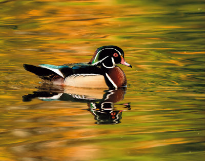 IMG_1616-web-hbw1-AI-Clear-raw.jpg