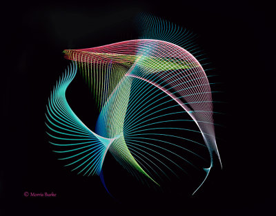 digital_meshes_color