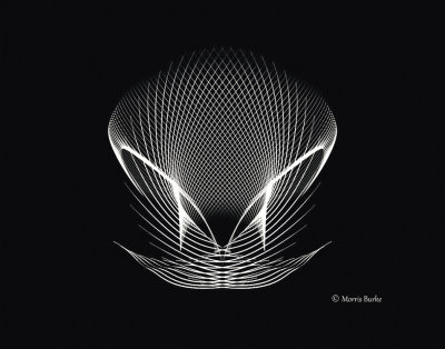 211-web-copyright-B&W-flip-