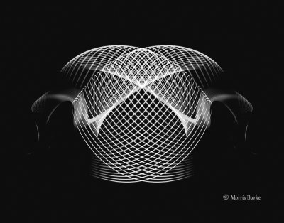 213 213 web copyright