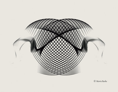 213-213-web-copyright-reversal