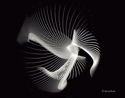 5-web-blend-copyright