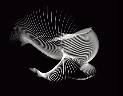 64-65-web